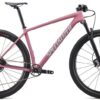 Specialized Epic 2020 - pink
