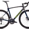 Specialized Roubaix Expert 2020 - blå/grå