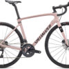 Specialized Roubaix Expert 2021 - Pink
