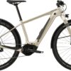 Cannondale 29 Canvas Neo 2 2021 - Grå